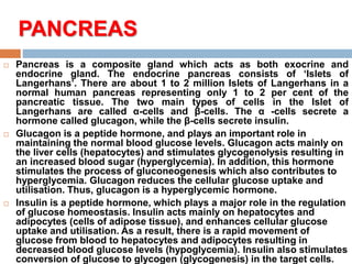 PANCREAS
 Pancreas is a composite gland which acts as both exocrine and
endocrine gland. The endocrine pancreas consists of ‘Islets of
Langerhans’. There are about 1 to 2 million Islets of Langerhans in a
normal human pancreas representing only 1 to 2 per cent of the
pancreatic tissue. The two main types of cells in the Islet of
Langerhans are called α-cells and β-cells. The α -cells secrete a
hormone called glucagon, while the β-cells secrete insulin.
 Glucagon is a peptide hormone, and plays an important role in
maintaining the normal blood glucose levels. Glucagon acts mainly on
the liver cells (hepatocytes) and stimulates glycogenolysis resulting in
an increased blood sugar (hyperglycemia). In addition, this hormone
stimulates the process of gluconeogenesis which also contributes to
hyperglycemia. Glucagon reduces the cellular glucose uptake and
utilisation. Thus, glucagon is a hyperglycemic hormone.
 Insulin is a peptide hormone, which plays a major role in the regulation
of glucose homeostasis. Insulin acts mainly on hepatocytes and
adipocytes (cells of adipose tissue), and enhances cellular glucose
uptake and utilisation. As a result, there is a rapid movement of
glucose from blood to hepatocytes and adipocytes resulting in
decreased blood glucose levels (hypoglycemia). Insulin also stimulates
conversion of glucose to glycogen (glycogenesis) in the target cells.
 