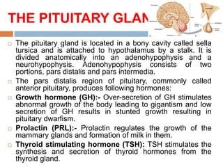 THE PITUITARY GLAND
 The pituitary gland is located in a bony cavity called sella
tursica and is attached to hypothalamus by a stalk. It is
divided anatomically into an adenohypophysis and a
neurohypophysis. Adenohypophysis consists of two
portions, pars distalis and pars intermedia.
 The pars distalis region of pituitary, commonly called
anterior pituitary, produces following hormones:
 Growth hormone (GH):- Over-secretion of GH stimulates
abnormal growth of the body leading to gigantism and low
secretion of GH results in stunted growth resulting in
pituitary dwarfism.
 Prolactin (PRL):- Prolactin regulates the growth of the
mammary glands and formation of milk in them.
 Thyroid stimulating hormone (TSH): TSH stimulates the
synthesis and secretion of thyroid hormones from the
thyroid gland.
 