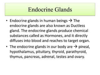 Endocrine Glands
• Endocrine glands in human beings  The
endocrine glands are also known as Ductless
gland. The endocrine glands produce chemical
substances called as Hormones, and it directly
diffuses into blood and reaches to target organ.
• The endocrine glands in our body are  pineal,
hypothalamus, pituitary, thyroid, parathyroid,
thymus, pancreas, adrenal, testes and ovary.
 