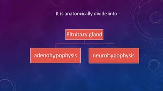 It is anatomically divide into:-
Pituitary gland
adenohypophysis neurohypophysis
 