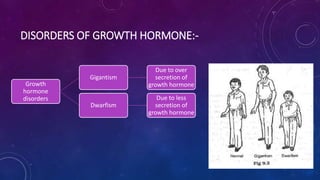 DISORDERS OF GROWTH HORMONE:-
Growth
hormone
disorders
Gigantism
Due to over
secretion of
growth hormone
Dwarfism
Due to less
secretion of
growth hormone
 