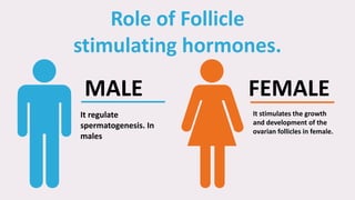 MALE
It regulate
spermatogenesis. In
males
FEMALE
It stimulates the growth
and development of the
ovarian follicles in female.
Role of Follicle
stimulating hormones.
 