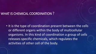 WHAT IS CHEMICAL COORDINATION ?
• It is the type of coordination present between the cells
or different organs within the body of multicellular
organisms. In this kind of coordination a group of cells
releases specific chemicals, which regulates the
activities of other cell of the body.
 