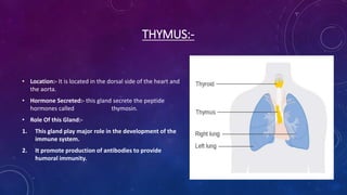 THYMUS:-
• Location:- It is located in the dorsal side of the heart and
the aorta.
• Hormone Secreted:- this gland secrete the peptide
hormones called thymosin.
• Role Of this Gland:-
1. This gland play major role in the development of the
immune system.
2. It promote production of antibodies to provide
humoral immunity.
 