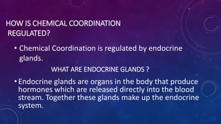 HOW IS CHEMICAL COORDINATION
REGULATED?
• Chemical Coordination is regulated by endocrine
glands.
WHAT ARE ENDOCRINE GLANDS ?
•Endocrine glands are organs in the body that produce
hormones which are released directly into the blood
stream. Together these glands make up the endocrine
system.
 