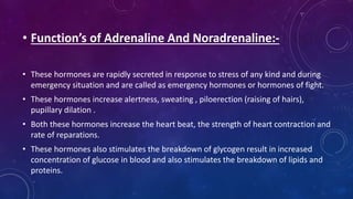 • Function’s of Adrenaline And Noradrenaline:-
• These hormones are rapidly secreted in response to stress of any kind and during
emergency situation and are called as emergency hormones or hormones of fight.
• These hormones increase alertness, sweating , piloerection (raising of hairs),
pupillary dilation .
• Both these hormones increase the heart beat, the strength of heart contraction and
rate of reparations.
• These hormones also stimulates the breakdown of glycogen result in increased
concentration of glucose in blood and also stimulates the breakdown of lipids and
proteins.
 