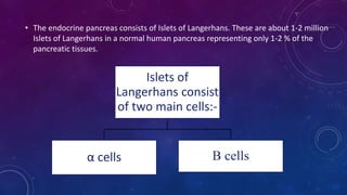 • The endocrine pancreas consists of Islets of Langerhans. These are about 1-2 million
Islets of Langerhans in a normal human pancreas representing only 1-2 % of the
pancreatic tissues.
Islets of
Langerhans consist
of two main cells:-
α cells Β cells
 