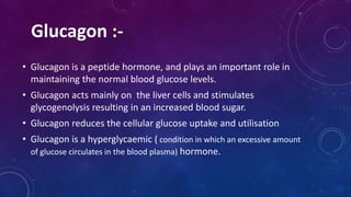• Glucagon is a peptide hormone, and plays an important role in
maintaining the normal blood glucose levels.
• Glucagon acts mainly on the liver cells and stimulates
glycogenolysis resulting in an increased blood sugar.
• Glucagon reduces the cellular glucose uptake and utilisation
• Glucagon is a hyperglycaemic ( condition in which an excessive amount
of glucose circulates in the blood plasma) hormone.
Glucagon :-
 