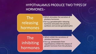 HYPOTHALAMUS PRODUCE TWO TYPES OF
HORMONES:-
• Which stimulates the secretion of
pituitary hormones
• For e.g. gonadotrophin releasing
hormone stimulates the pituitary
synthesis and secrete gonadotrophin.
The
releasing
hormones
• Which inhibit the secretions of
pituitary hormones
• For e.g. somatostatin from
hypothalamus inhibit the release of
growth hormone from the pituitary.
The
inhibiting
hormones
 