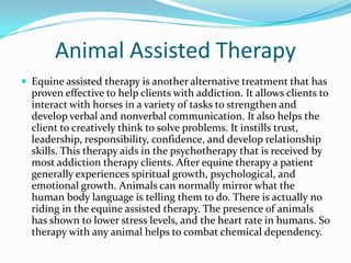 Animal Assisted Therapy
 Equine assisted therapy is another alternative treatment that has
  proven effective to help clients with addiction. It allows clients to
  interact with horses in a variety of tasks to strengthen and
  develop verbal and nonverbal communication. It also helps the
  client to creatively think to solve problems. It instills trust,
  leadership, responsibility, confidence, and develop relationship
  skills. This therapy aids in the psychotherapy that is received by
  most addiction therapy clients. After equine therapy a patient
  generally experiences spiritual growth, psychological, and
  emotional growth. Animals can normally mirror what the
  human body language is telling them to do. There is actually no
  riding in the equine assisted therapy. The presence of animals
  has shown to lower stress levels, and the heart rate in humans. So
  therapy with any animal helps to combat chemical dependency.
 