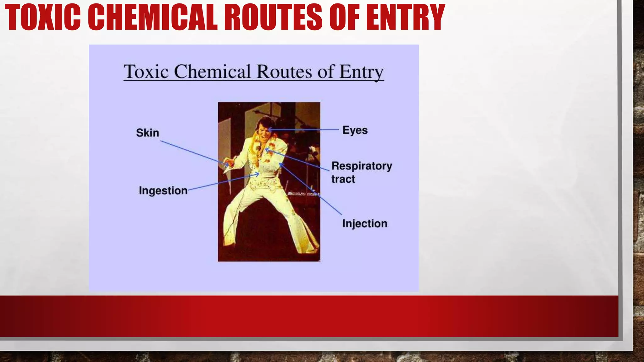 Chemical Disaster.pptx
