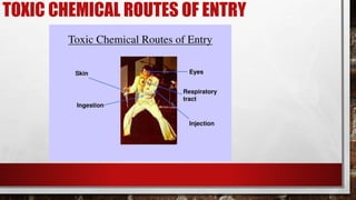 TOXIC CHEMICAL ROUTES OF ENTRY
 