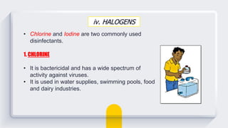 iv. HALOGENS
• Chlorine and Iodine are two commonly used
disinfectants.
1. CHLORINE
• It is bactericidal and has a wide spectrum of
activity against viruses.
• It is used in water supplies, swimming pools, food
and dairy industries.
 