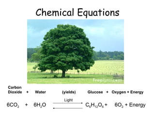 Chemical Equations 6CO 2  +  6H 2 O  Carbon  Dioxide  +  Water  (yields)  Glucose  +  Oxygen   + Energy C 6 H 12 O 6  +  6O 2  + Energy Light 