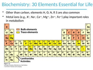 CHEMICAL FOUNDATIONS OF BIOCHEMISTRY.pptx
