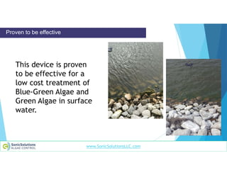 Curated visual reference: Chemical Free Treatment Of Algae Pdf Photo Inspiration