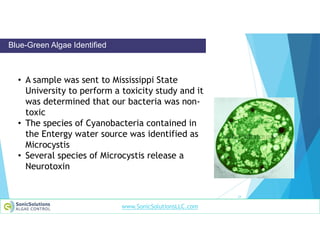 Chemical_Free_Treatment_of_Algae.pdf