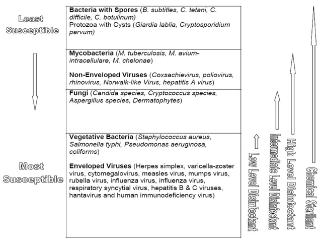 Pharmacology Lecture Chemical Germicides 1 Ppt