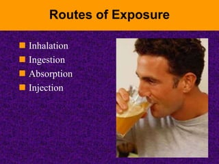 Routes of Exposure
 Inhalation
 Ingestion
 Absorption
 Injection
 