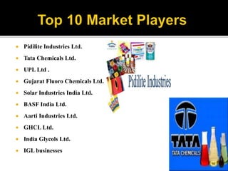  Pidilite Industries Ltd.
 Tata Chemicals Ltd.
 UPL Ltd .
 Gujarat Fluoro Chemicals Ltd.
 Solar Industries India Ltd.
 BASF India Ltd.
 Aarti Industries Ltd.
 GHCL Ltd.
 India Glycols Ltd.
 IGL businesses
 