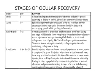 STAGES OF OCULAR RECOVERY
 