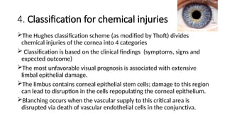 Hughes Classification Chemical Injuries in Surgery and I Med.pptx
