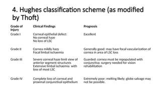 Hughes Classification Chemical Injuries in Surgery and I Med.pptx