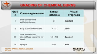 CHEMICAL INJURIES BLUNT TRAUMA MMMC.pptx