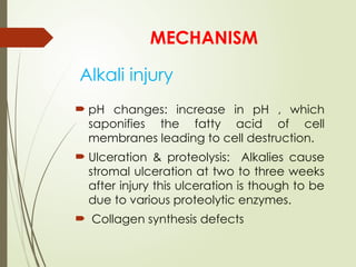 Alkali injury
 pH changes: increase in pH , which
saponifies the fatty acid of cell
membranes leading to cell destruction.
 Ulceration & proteolysis: Alkalies cause
stromal ulceration at two to three weeks
after injury this ulceration is though to be
due to various proteolytic enzymes.
 Collagen synthesis defects
MECHANISM
 