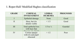 Hughes Classification CHEMICAL INJURY CASE PRESENTATION.pptx in detail | PPTX