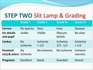 Chemical injury protocol | PPT