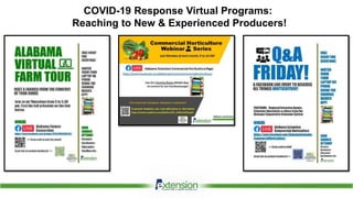 Pesticide Roatation Program Chemical insecticide rotations in vegetable crops (2021 Webinar) | PPTX