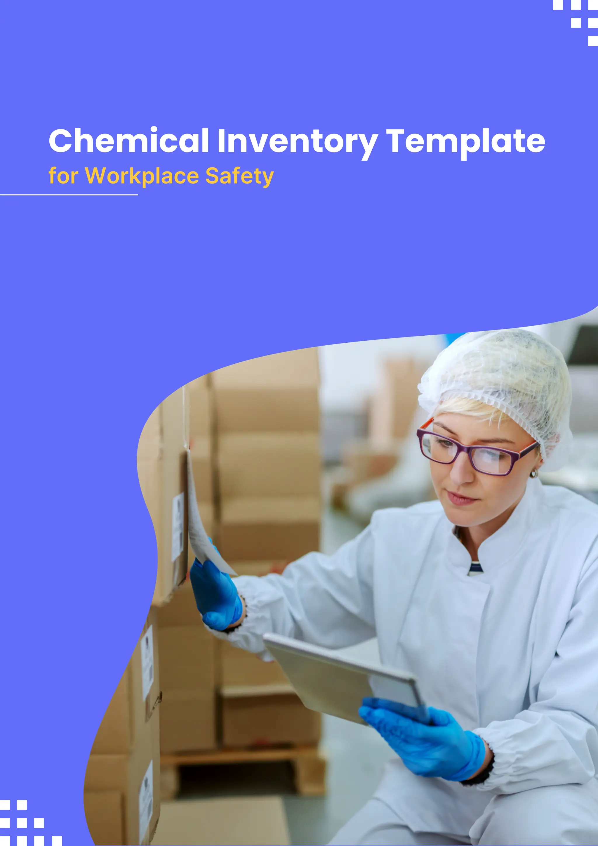 Safety Inventory Example Chemical Inventory Template for Workplace Safety | PDF