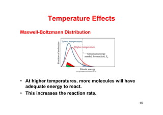 Temperature Effects
• At higher temperatures, more molecules will have
adequate energy to react.
• This increases the reaction rate.
Maxwell-Boltzmann Distribution
55
 