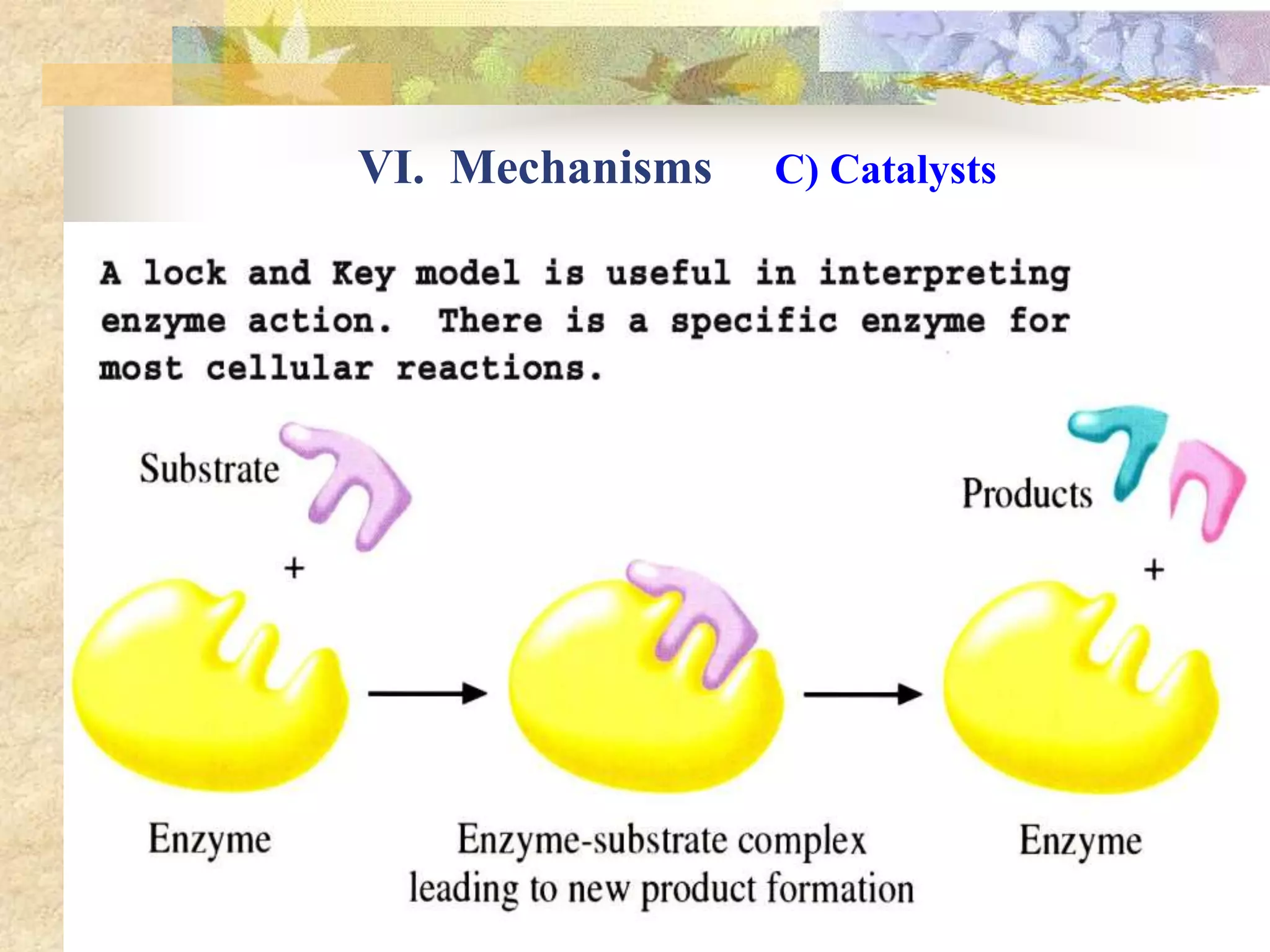 VI. Mechanisms C) Catalysts
 