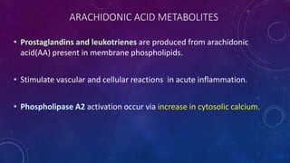 ARACHIDONIC ACID METABOLITES
• Prostaglandins and leukotrienes are produced from arachidonic
acid(AA) present in membrane phospholipids.
• Stimulate vascular and cellular reactions in acute inflammation.
• Phospholipase A2 activation occur via increase in cytosolic calcium.
 