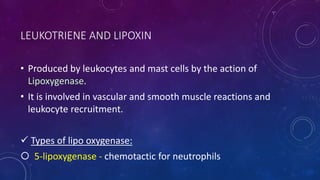 LEUKOTRIENE AND LIPOXIN
• Produced by leukocytes and mast cells by the action of
Lipoxygenase.
• It is involved in vascular and smooth muscle reactions and
leukocyte recruitment.
 Types of lipo oxygenase:
 5-lipoxygenase - chemotactic for neutrophils
 