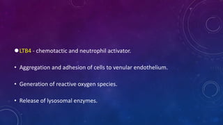 LTB4 - chemotactic and neutrophil activator.
• Aggregation and adhesion of cells to venular endothelium.
• Generation of reactive oxygen species.
• Release of lysosomal enzymes.
 