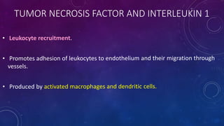 TUMOR NECROSIS FACTOR AND INTERLEUKIN 1
 
