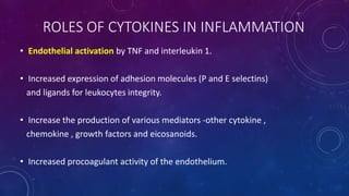 ROLES OF CYTOKINES IN INFLAMMATION
• Endothelial activation by TNF and interleukin 1.
• Increased expression of adhesion molecules (P and E selectins)
and ligands for leukocytes integrity.
• Increase the production of various mediators -other cytokine ,
chemokine , growth factors and eicosanoids.
• Increased procoagulant activity of the endothelium.
 