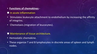 • Functions of chemokines:-
 In acute inflammation
• Stimulates leukocyte attachment to endothelium by increasing the affinity
of integrins.
• Chemotaxis.(migration of leucocytes).
 Maintenance of tissue architecture.
• Hemostatic chemokine.
• These organize T and B lymphocytes in discrete areas of spleen and lymph
nodes.
 