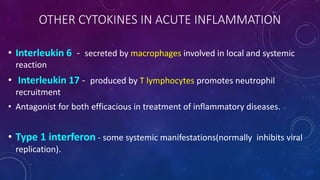 OTHER CYTOKINES IN ACUTE INFLAMMATION
• Interleukin 6 - secreted by macrophages involved in local and systemic
reaction
• Interleukin 17 - produced by T lymphocytes promotes neutrophil
recruitment
• Antagonist for both efficacious in treatment of inflammatory diseases.
• Type 1 interferon - some systemic manifestations(normally inhibits viral
replication).
 