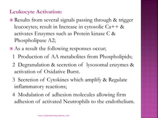 Leukocyte Activation:
 Results from several signals passing through & trigger
leucocytes; result in Increase in cytosolic...