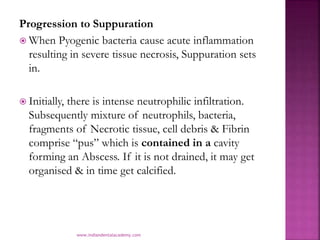 Progression to Suppuration
 When Pyogenic bacteria cause acute inflammation
resulting in severe tissue necrosis, Suppurat...