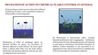 11
MECHANISM OF ACTION OF CHEMICAL PLAQUE CONTROL IN GENERAL
Chemical plaque control may be achieved by different
mechanisms of action with a quantitative (reduction
of the number of microorganisms
(b) Bactericidal or bacteriostatic effect, avoiding
bacterial proliferation and co aggregation: interference
‐
with bacterial division (damaged bacterial cells depicted
in red) leads to interference with biofilm formation. In
addition, biofilm maturation is also prevented as co‐
aggregation of new species (red arrows) is impeded, due
to the non favorable
‐ environmental conditions.
Mechanisms of effect of antiplaque agents on
bacterial biofilms (in green). (a) Prevention of
bacterial adhesion to tooth surfaces: the active agent
forms a pellicle (blue film) over the tooth surface,
interfering with bacterial adhesion (red arrows), thus
avoiding bacterial colonization.
 