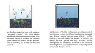 12
(c) Biofilm disruption from tooth surfaces:
“chemical brushing”. The agent induces
detachment and/or biofilm elimination from
the tooth surface by breaking the chemical
links between the surface and the biofilms,
and by disrupting the biofilm structure (red
arrows).
(d) Alteration of biofilm pathogenicity or enhancement of
host immune systems by different mechanisms: enhanced
host defense systems provide more effective biofilm
control by the host (short red arrows); or presence of
defined bacterial species that may influence biofilm
development and maturation, by means of the release of
different products, such as bacteriocins, or by competition
for nutrients (long red arrow).
 