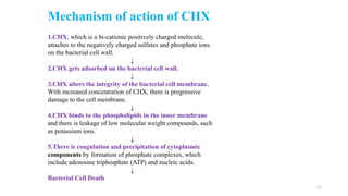 17
Mechanism of action of CHX
1.CHX, which is a bi-cationic positively charged molecule,
attaches to the negatively charged sulfates and phosphate ions
on the bacterial cell wall.
↓
2.CHX gets adsorbed on the bacterial cell wall.
↓
3.CHX alters the integrity of the bacterial cell membrane.
With increased concentration of CHX, there is progressive
damage to the cell membrane.
↓
4.CHX binds to the phospholipids in the inner membrane
and there is leakage of low molecular weight compounds, such
as potassium ions.
↓
5.There is coagulation and precipitation of cytoplasmic
components by formation of phosphate complexes, which
include adenosine triphosphate (ATP) and nucleic acids.
↓
Bacterial Cell Death
 