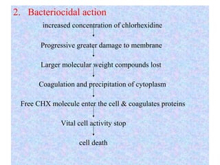 2. Bacteriocidal action
increased concentration of chlorhexidine
Progressive greater damage to membrane
Larger molecular weight compounds lost
Coagulation and precipitation of cytoplasm
Free CHX molecule enter the cell & coagulates proteins
Vital cell activity stop
cell death
 