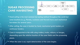 SUGAR PROCESSING
CANE HAVERSTING
• Hand cutting is the most common harvesting method throughout the world but
some locations (e. g., Florida, Louisiana and Hawaii) have used mechanical
harvesters for several years.
• After cutting, the cane is loaded by hand, mechanical grab loaders, or
continuous loaders.
• Cane is transported to the mills using trailers, trucks, railcars, or barges,
depending upon the relative location of the cane fields and the processing
plants.
• When the cane is cut, rapid deterioration of the cane begins.
 