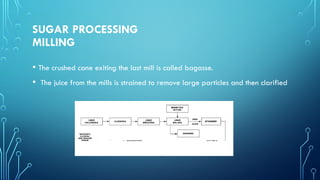 SUGAR PROCESSING
MILLING
• The crushed cane exiting the last mill is called bagasse.
• The juice from the mills is strained to remove large particles and then clarified
 
